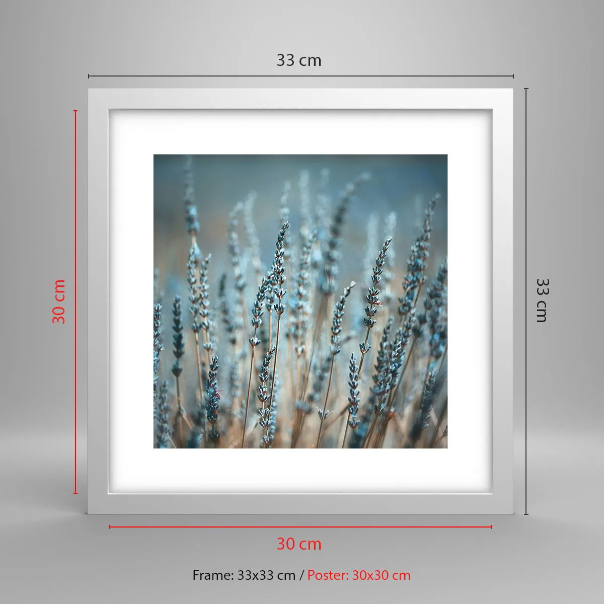 Poster in einem weißen Rahmen - Duftendes Kornfeld - 30x30 cm