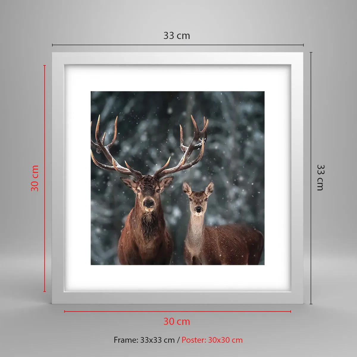 Poster in einem weißen Rahmen - Herr des Waldes mit seiner Frau - 30x30 cm