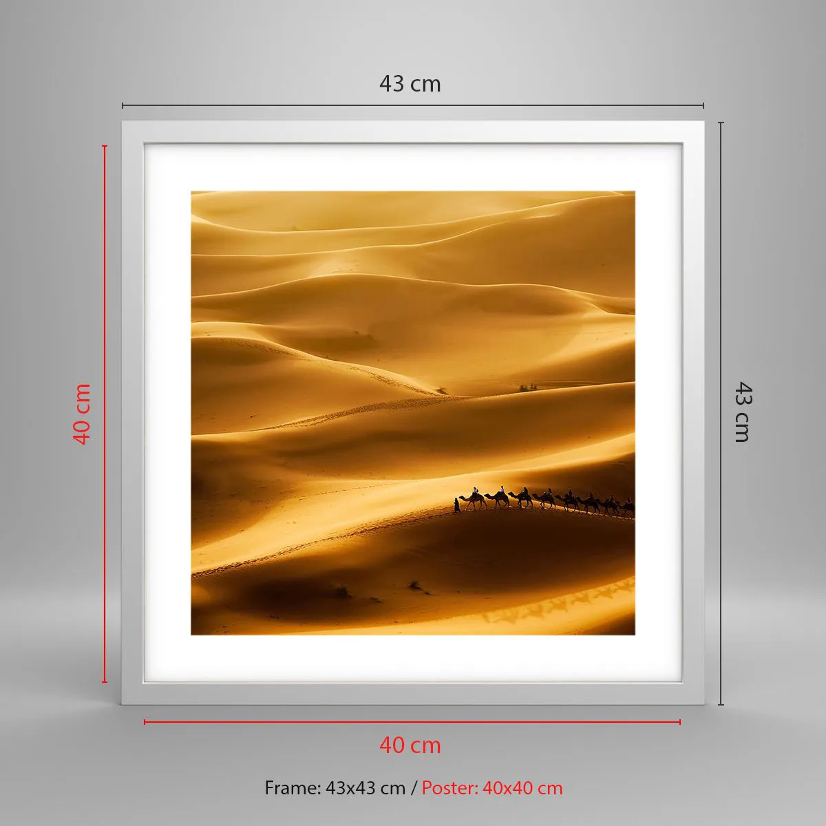 Plakat w białej ramie - Karawana na falach pustyni - 40x40 cm