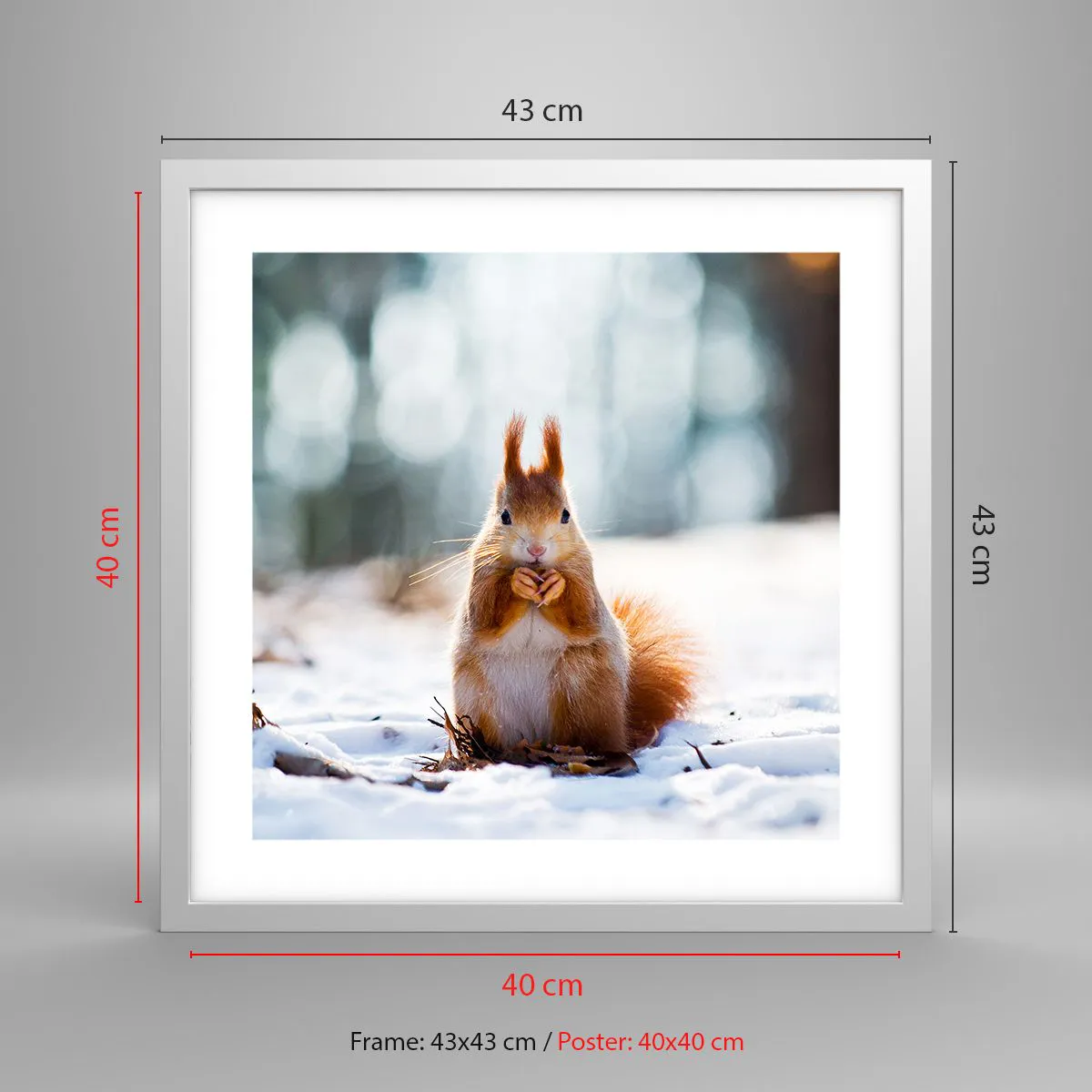 Poster in einem weißen Rahmen - Wo schaust du hin? - 40x40 cm