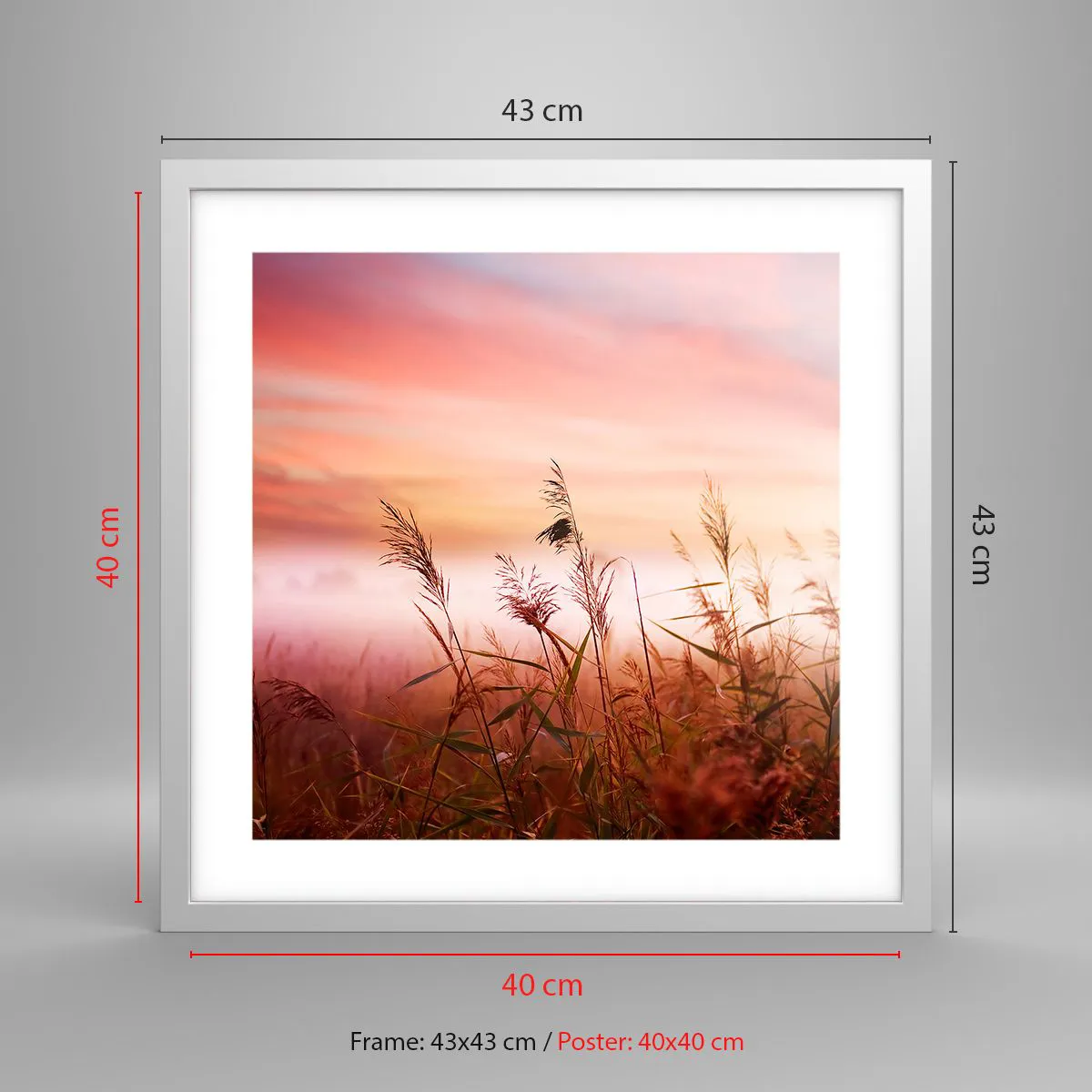 Affiche dans un cadre blanc - Poster - Cerfs-volants, pissenlits, vent - 40x40 cm