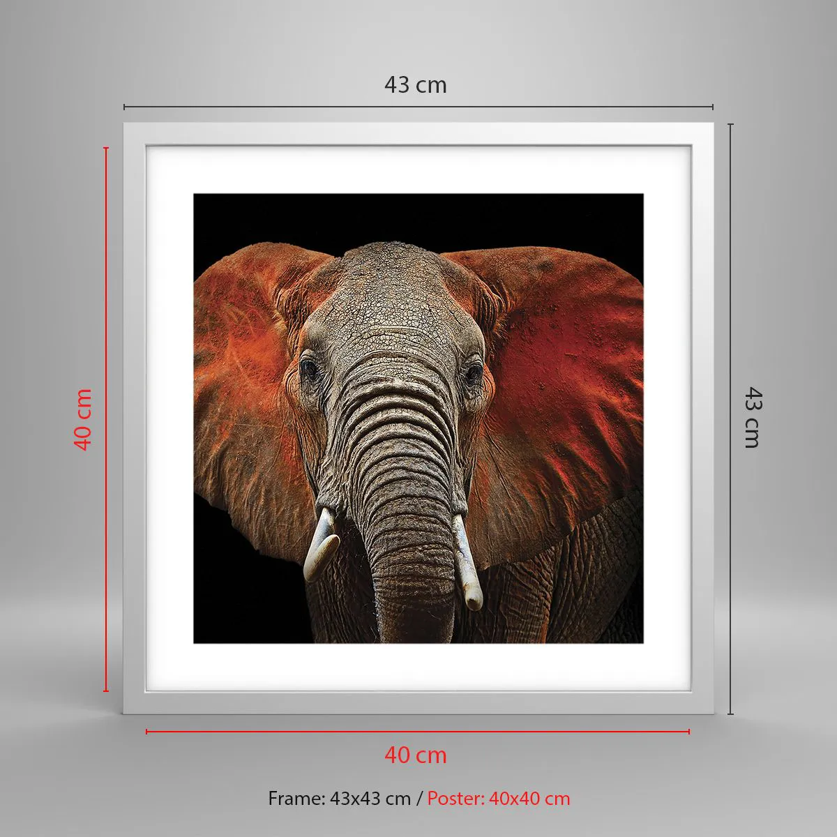 Poster in einem weißen Rahmen - Ich bin wild und du? - 40x40 cm