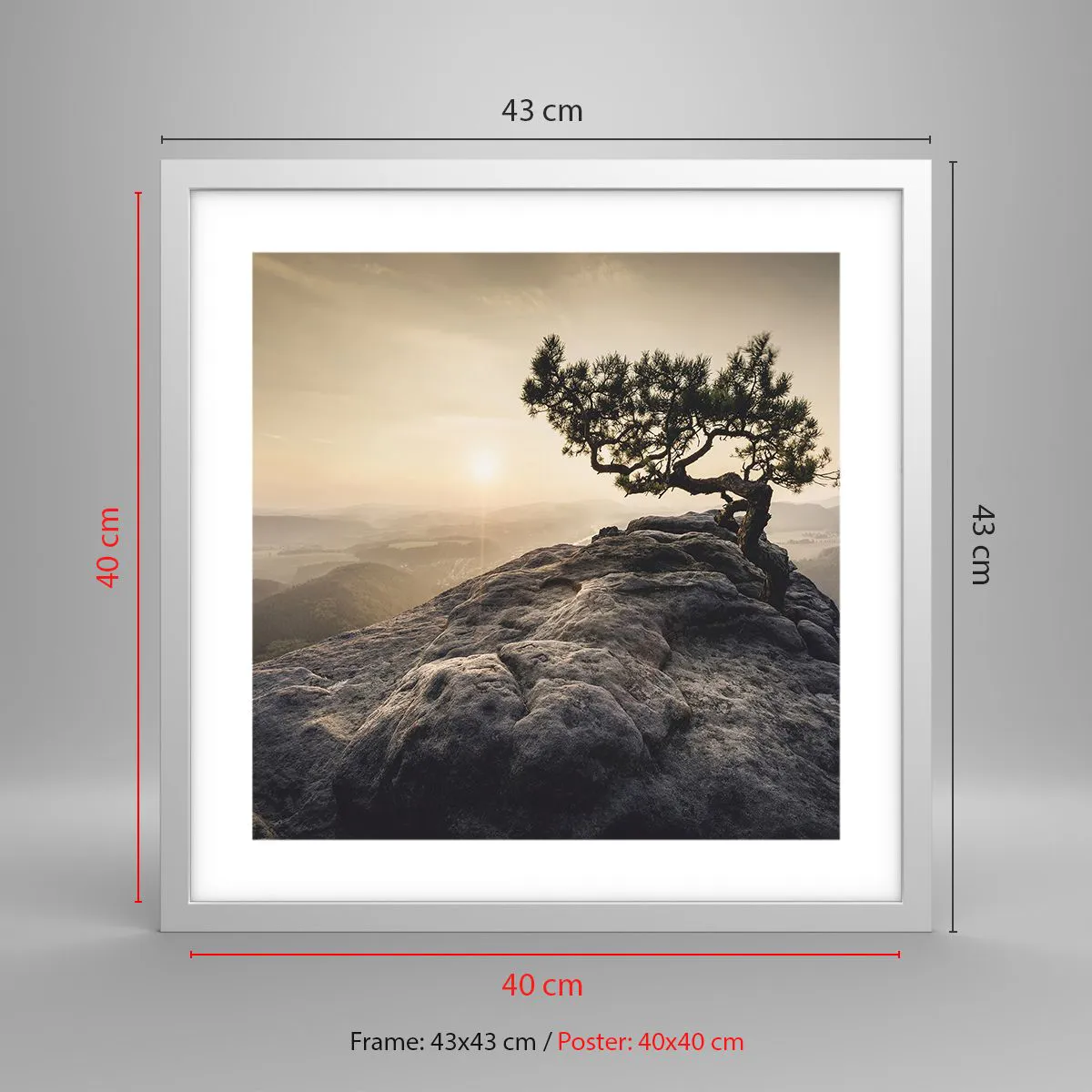 Plakát v bílém rámu - Život vždy vítězí - 40x40 cm