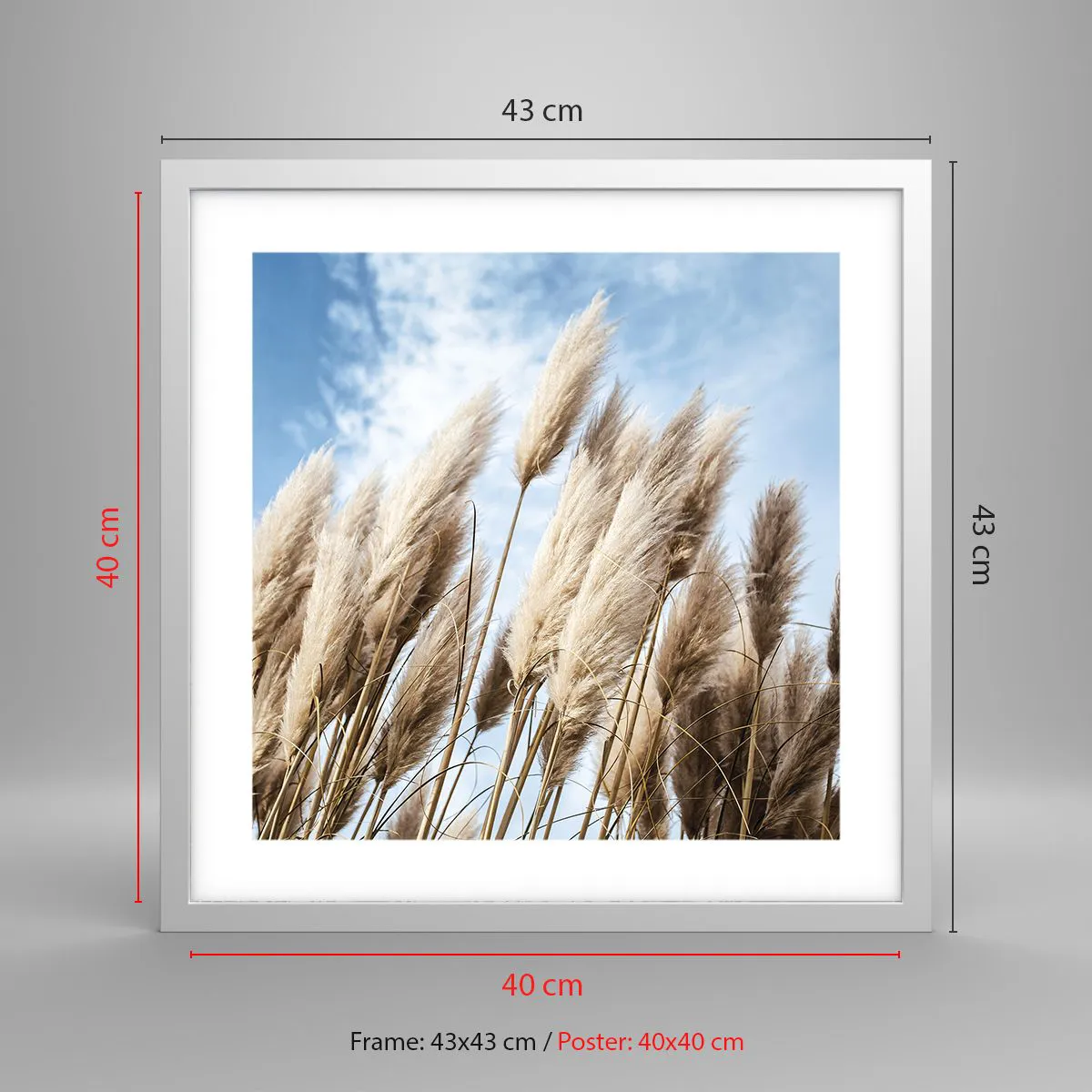 Plakat i hvid ramme - Solrig og blæsende kærtegn - 40x40 cm