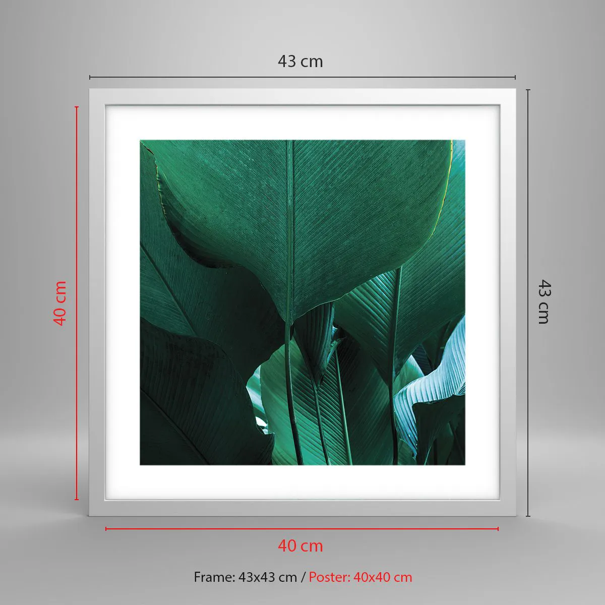 Poster in einem weißen Rahmen - Dem Licht zugewandt - 40x40 cm