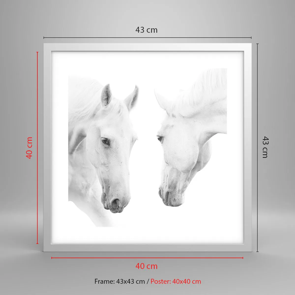 Poszter fekete keretben - Ez a barátság...? - 40x40 cm