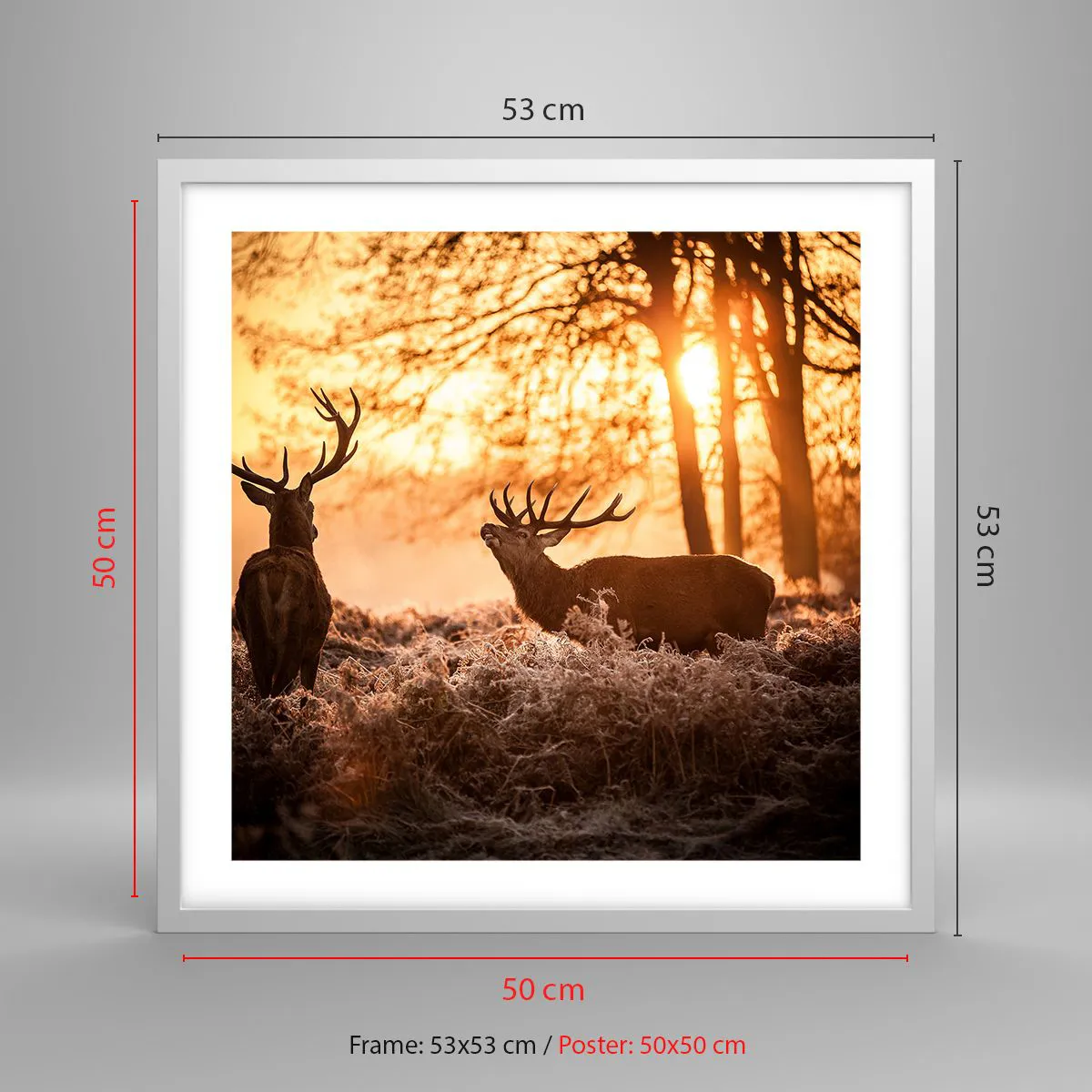 Poster în ramă albă - Visul unui vânător - 50x50 cm