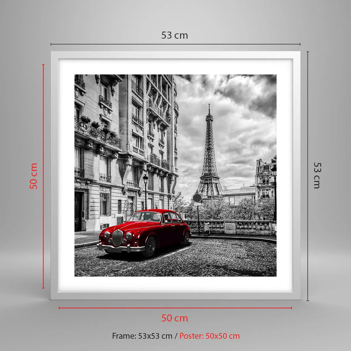 Plakat w białej ramie - Drapieżnik w mieście - 50x50 cm