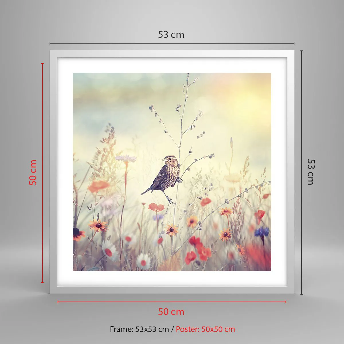Poster in cornice bianca - Ritratto d'uccello con prato di sfondo - 50x50 cm