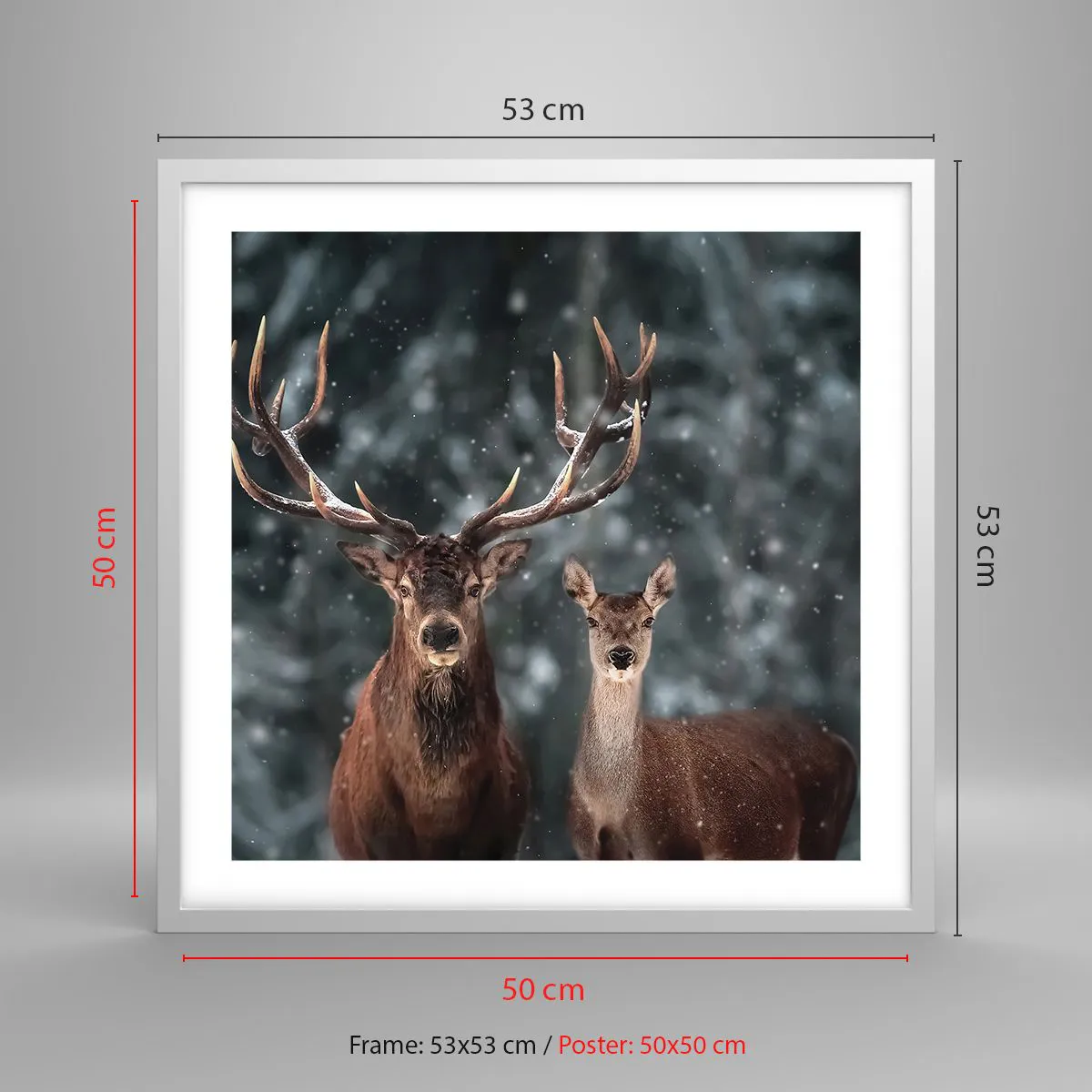 Poster in cornice bianca - Il re della foresta con la consorte - 50x50 cm