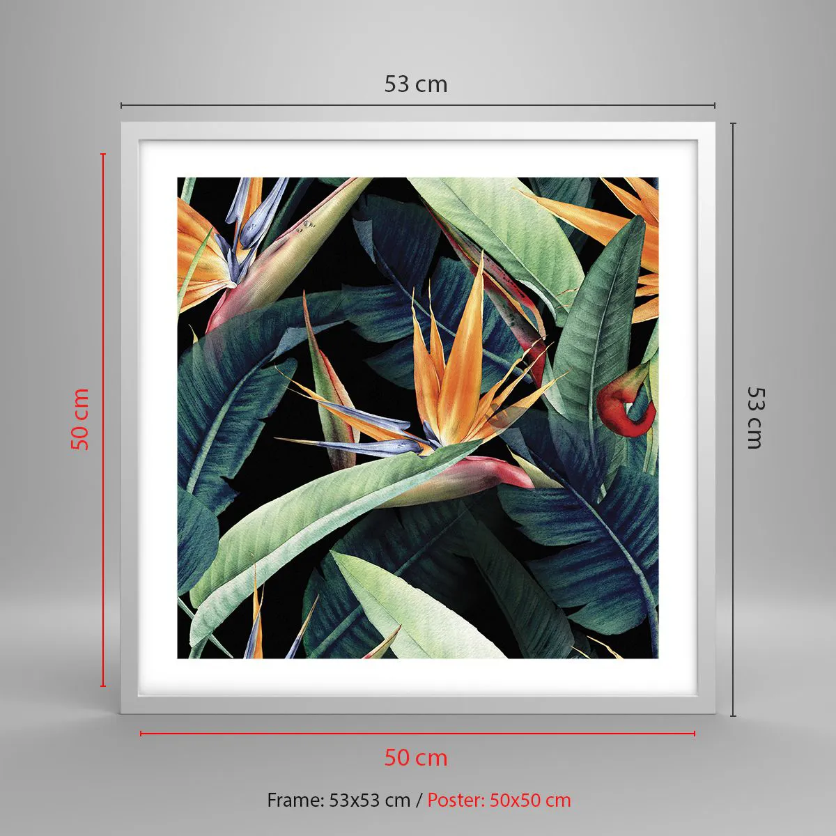 Affisch i vit ram - Tropikens brinnande blommor - 50x50 cm