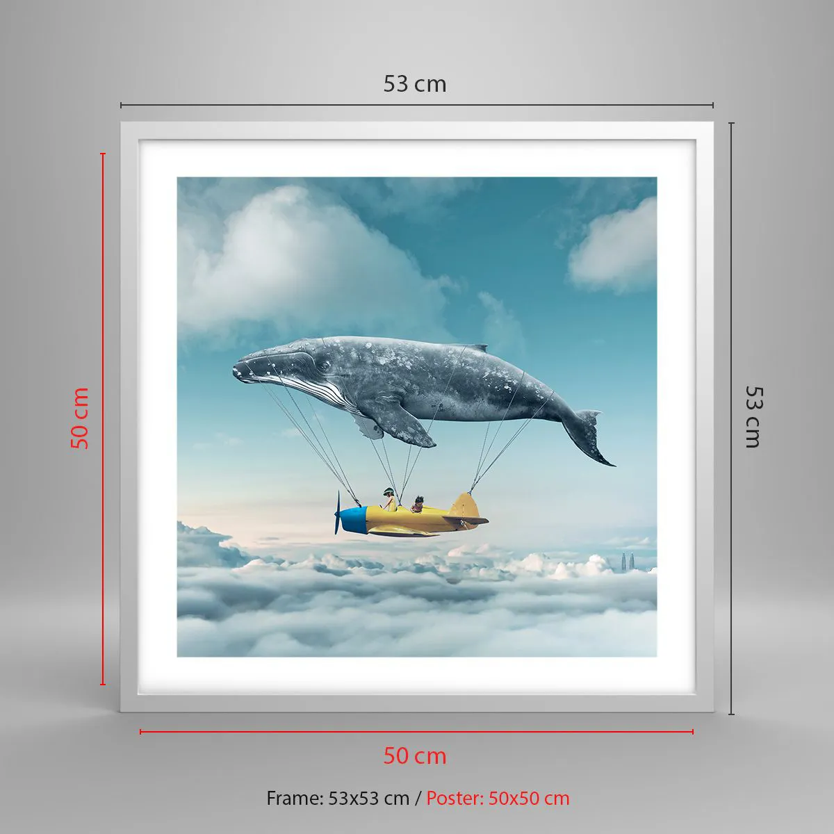 Plakát v bílém rámu - Proč ne? - 50x50 cm