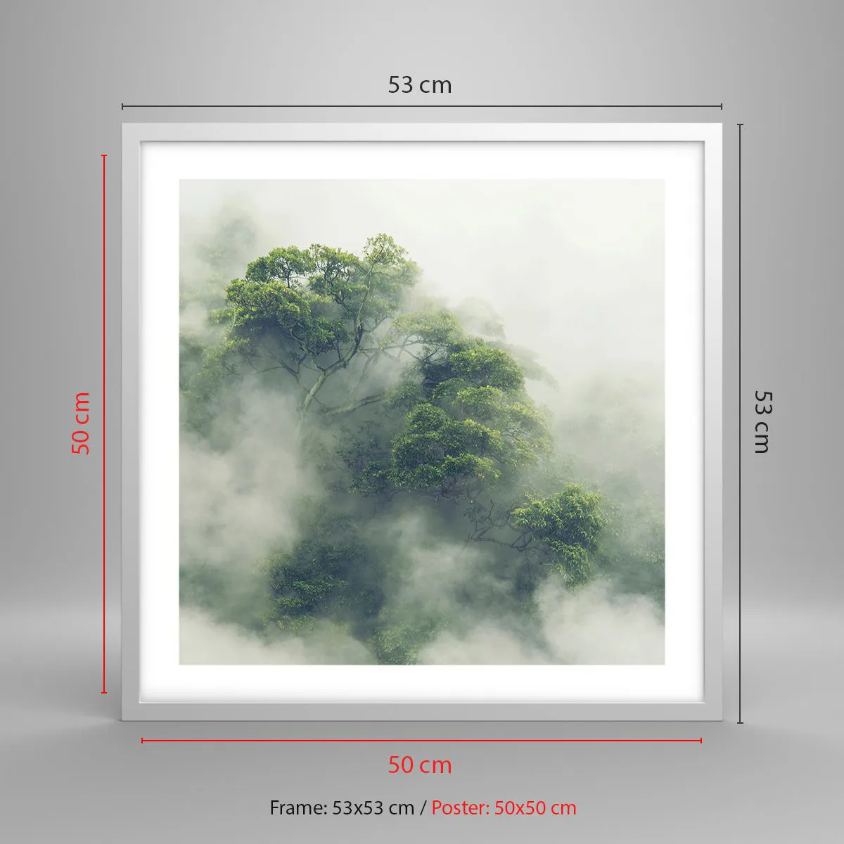 Poster in cornice bianca - Avvolti dalla nebbia - 50x50 cm