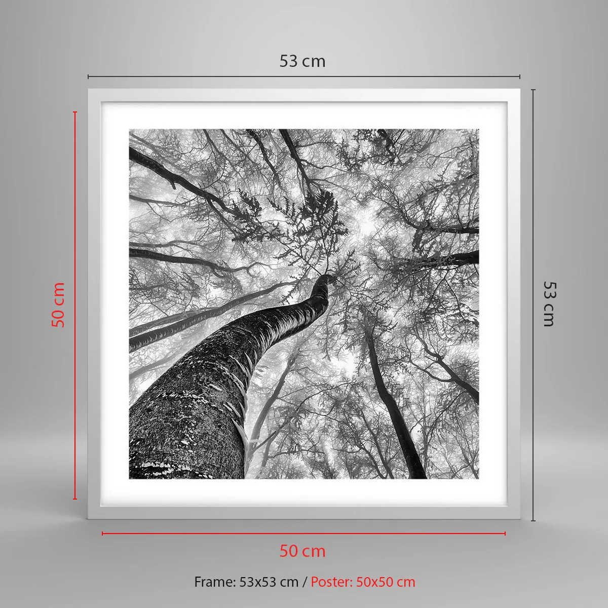 Poszter fekete keretben - Verseny a fény felé - 50x50 cm