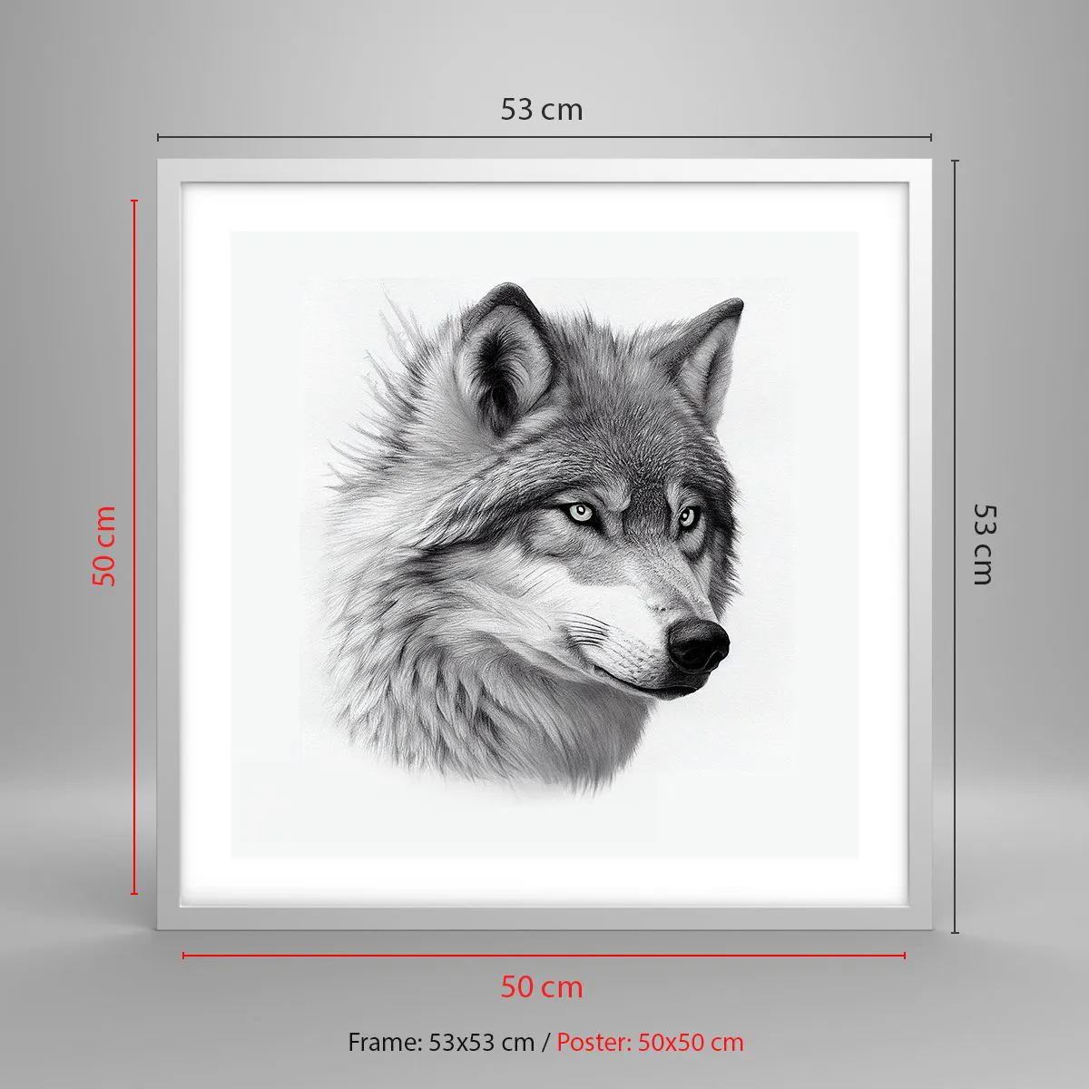 Affiche dans un cadre blanc - Poster - Alpha – sans aucun doute - 50x50 cm