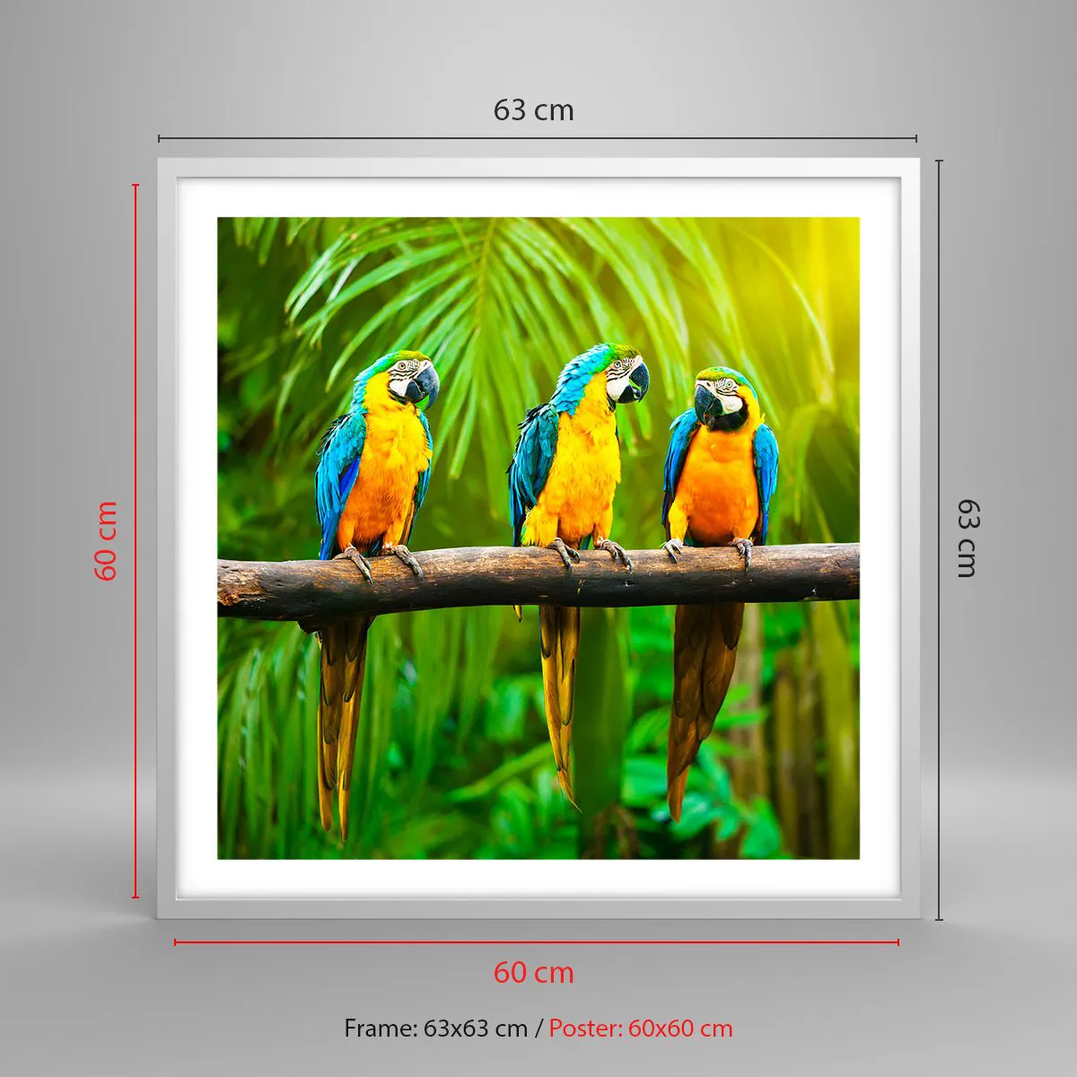 Affiche dans un cadre blanc - Poster - Et avez-vous entendu qu'elle ...? - 60x60 cm