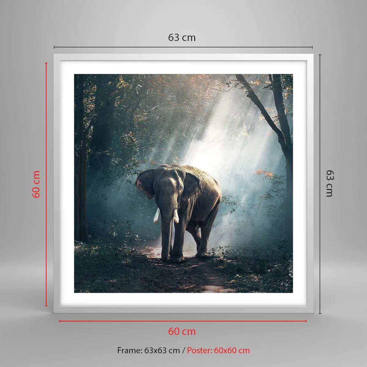 Plakát v bílém rámu - Klidná procházka - 60x60 cm