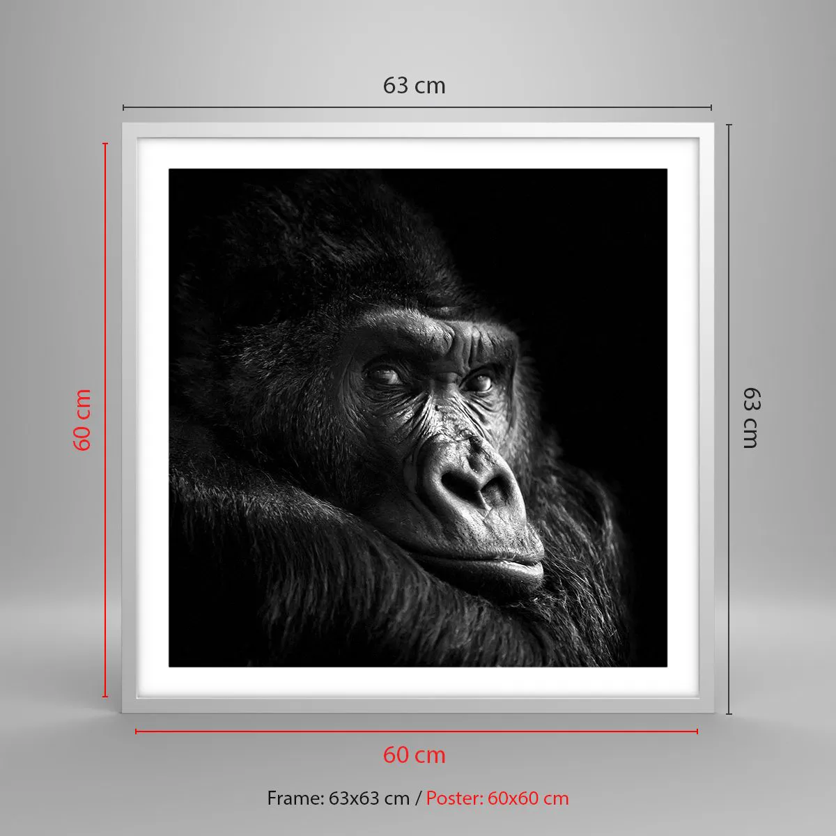 Poster in einem weißen Rahmen - Und was guckst du so? - 60x60 cm