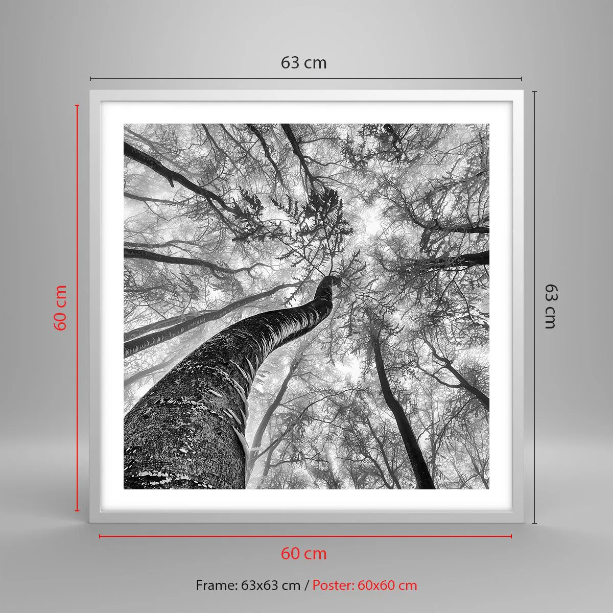 Poszter fekete keretben - Verseny a fény felé - 60x60 cm