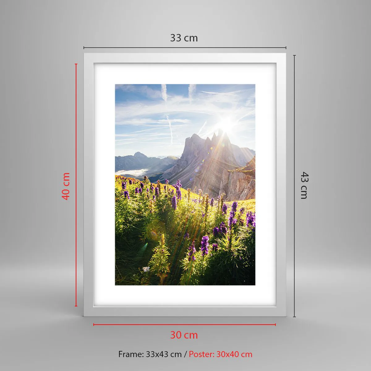 Plakát v bílém rámu - Tajemný život bylin - 30x40 cm