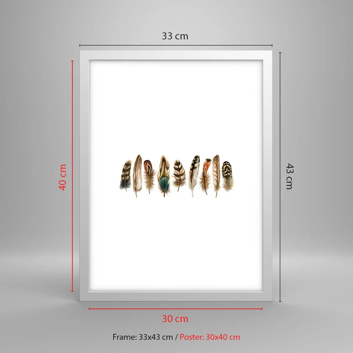 Poster in white frmae - Feather Variation - 30x40 cm