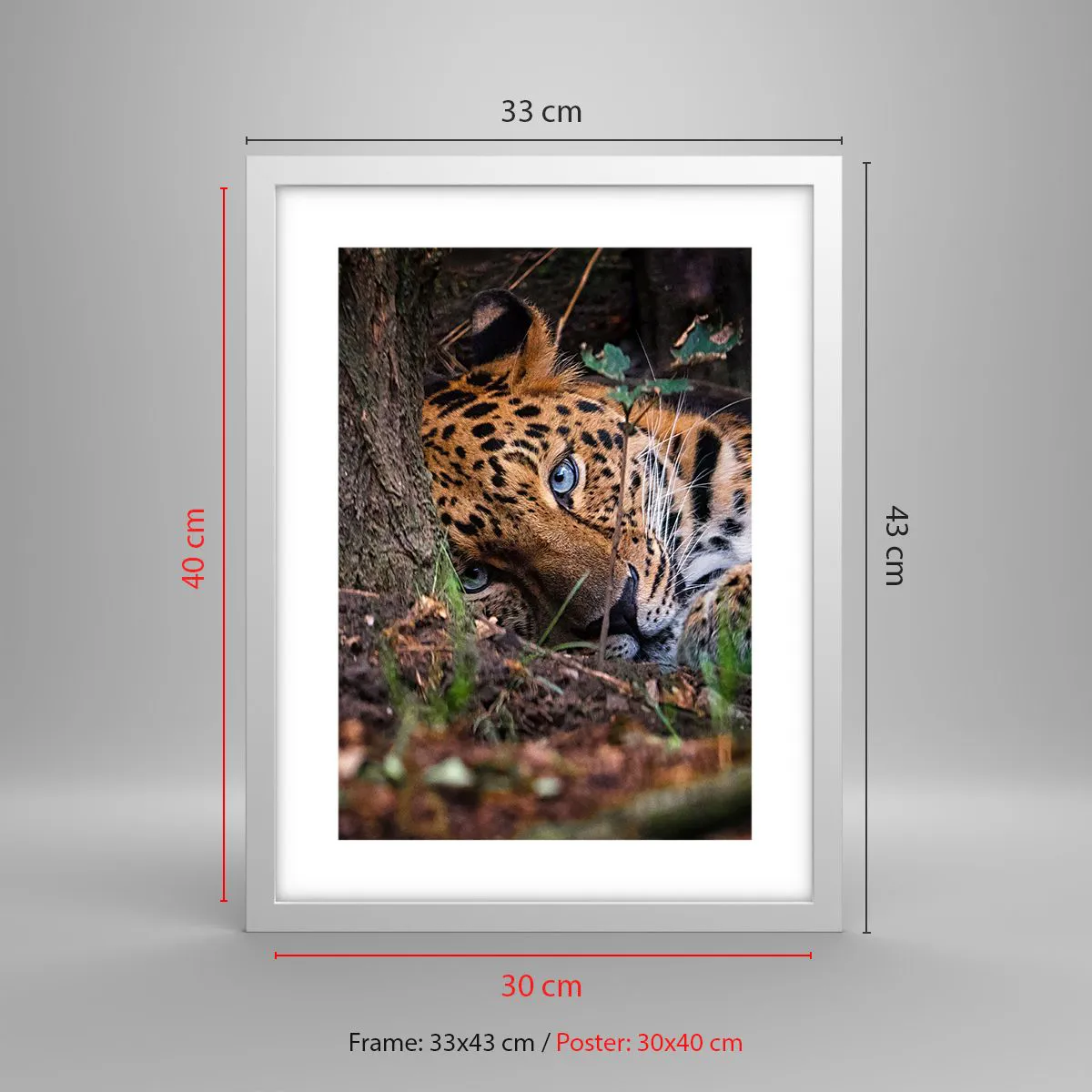 Affiche dans un cadre blanc - Poster - Fais-moi confiance - 30x40 cm