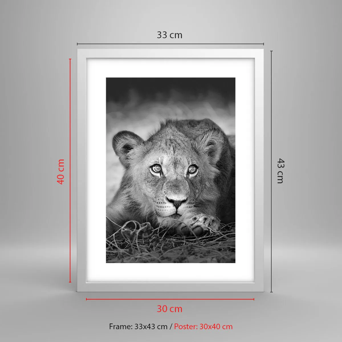 Póster en marco blanco - Un cachorro real - 30x40 cm