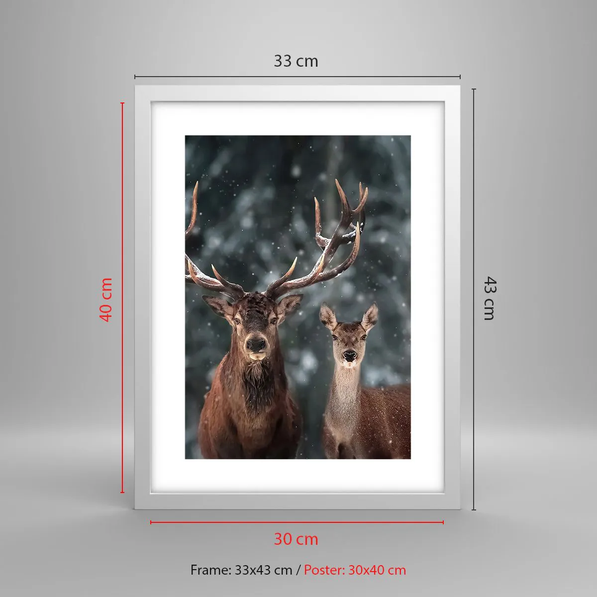 Poster in cornice bianca - Il re della foresta con la consorte - 30x40 cm