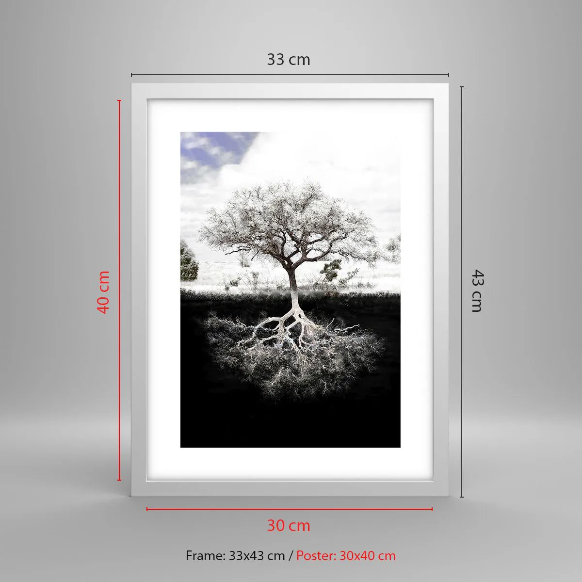 Poster in einem weißen Rahmen - Die Natur der Welt entdecken - 30x40 cm