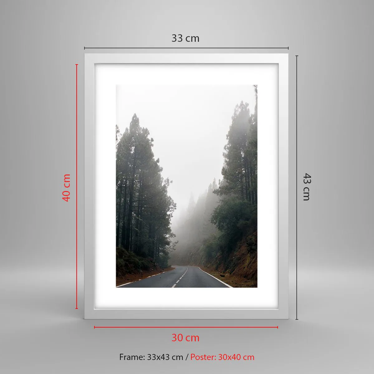 Plagát v bielom ráme - Príbeh kúzelného lesa - 30x40 cm