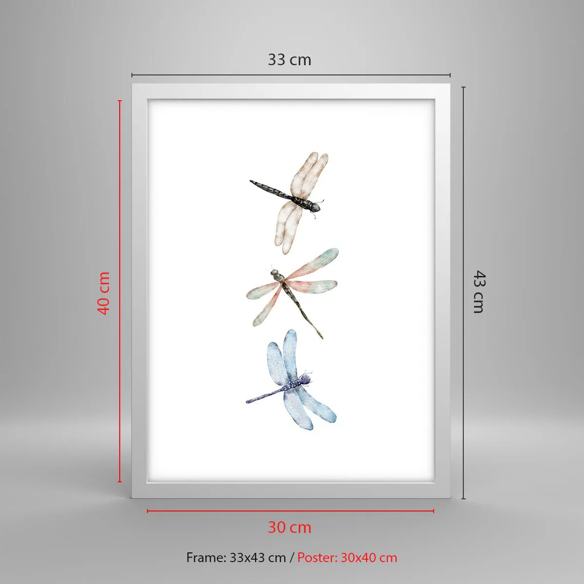 Plakat w białej ramie - Ważki nieważkie - 30x40 cm