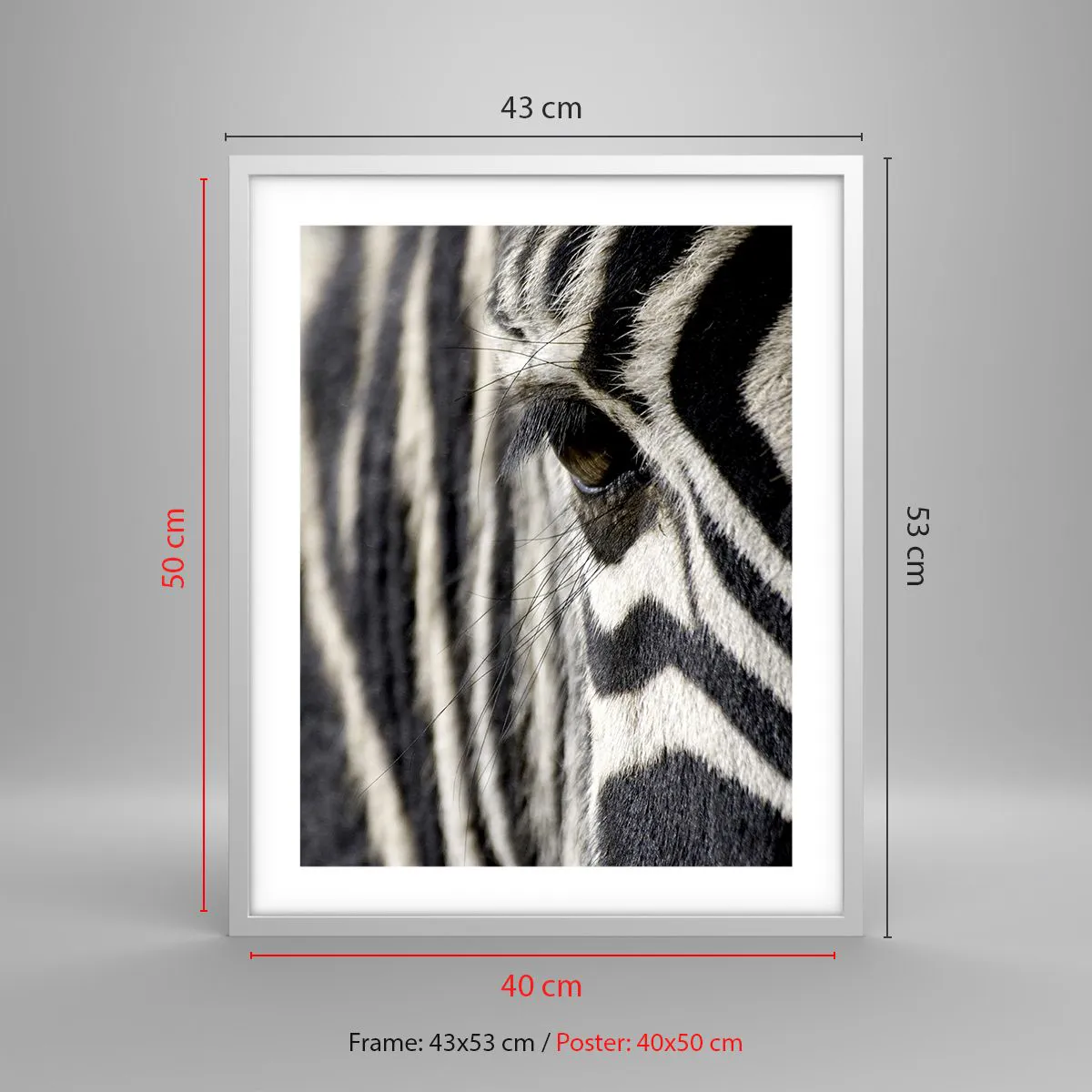 Affiche dans un cadre blanc - Poster - Portrait en rayure - 40x50 cm