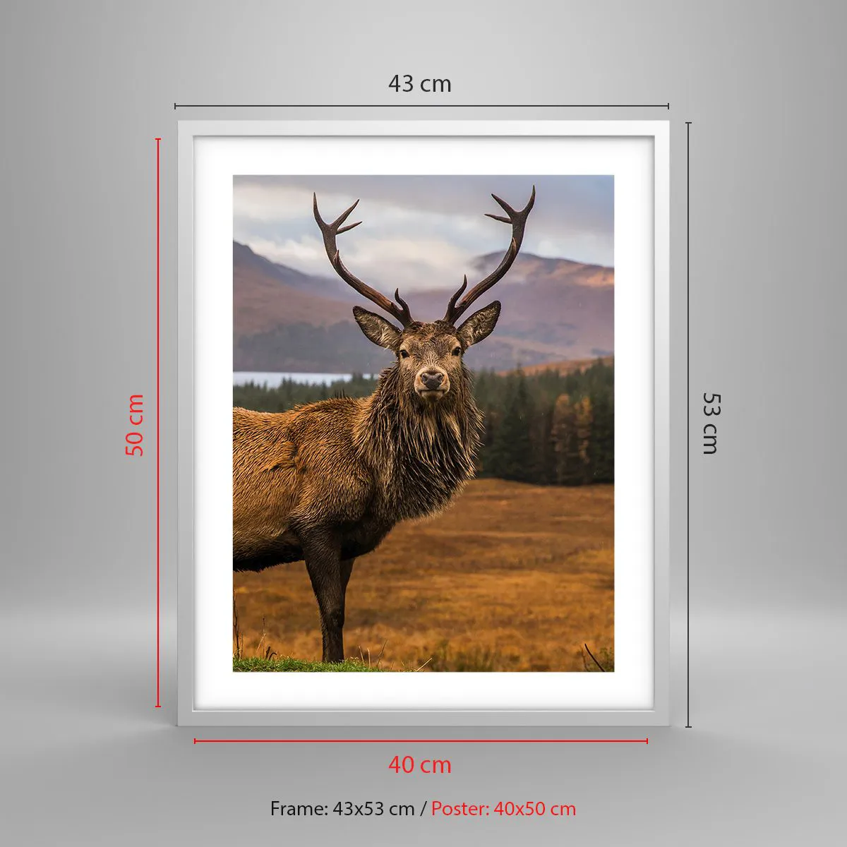 Poster in white frmae - Majesty of Nature - 40x50 cm