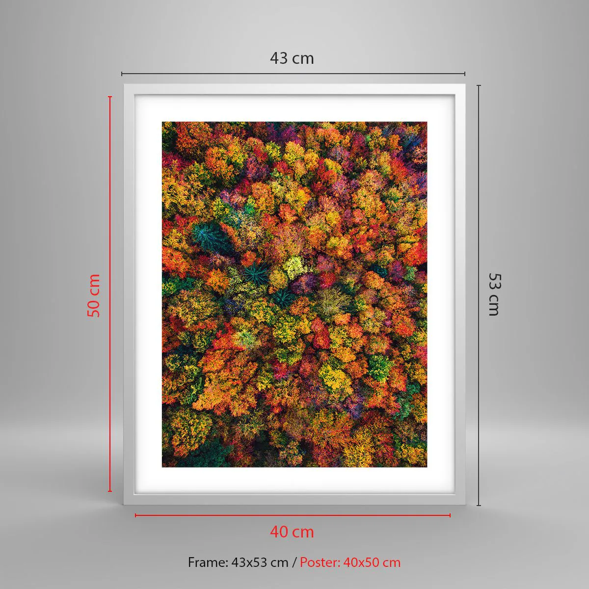 Poster in einem weißen Rahmen - Blumenstrauß aus Herbstbäumen - 40x50 cm