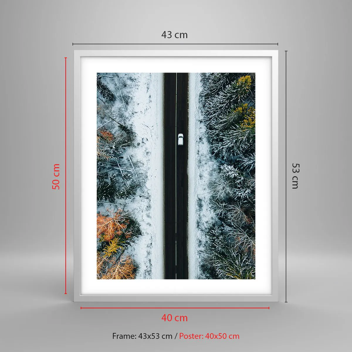 Plakat w białej ramie - Przeciąć zimowy las - 40x50 cm