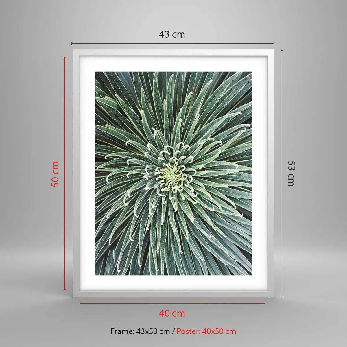 Plakat w białej ramie - Narodziny gwiazdy - 40x50 cm