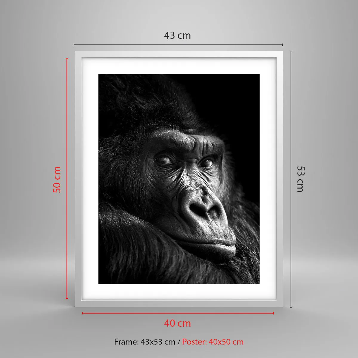 Affiche dans un cadre blanc - Poster - Et qu'est-ce que tu regardes? - 40x50 cm