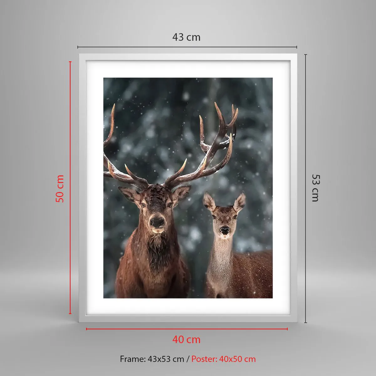 Poszter fekete keretben - Az erdő ura a feleségével - 40x50 cm