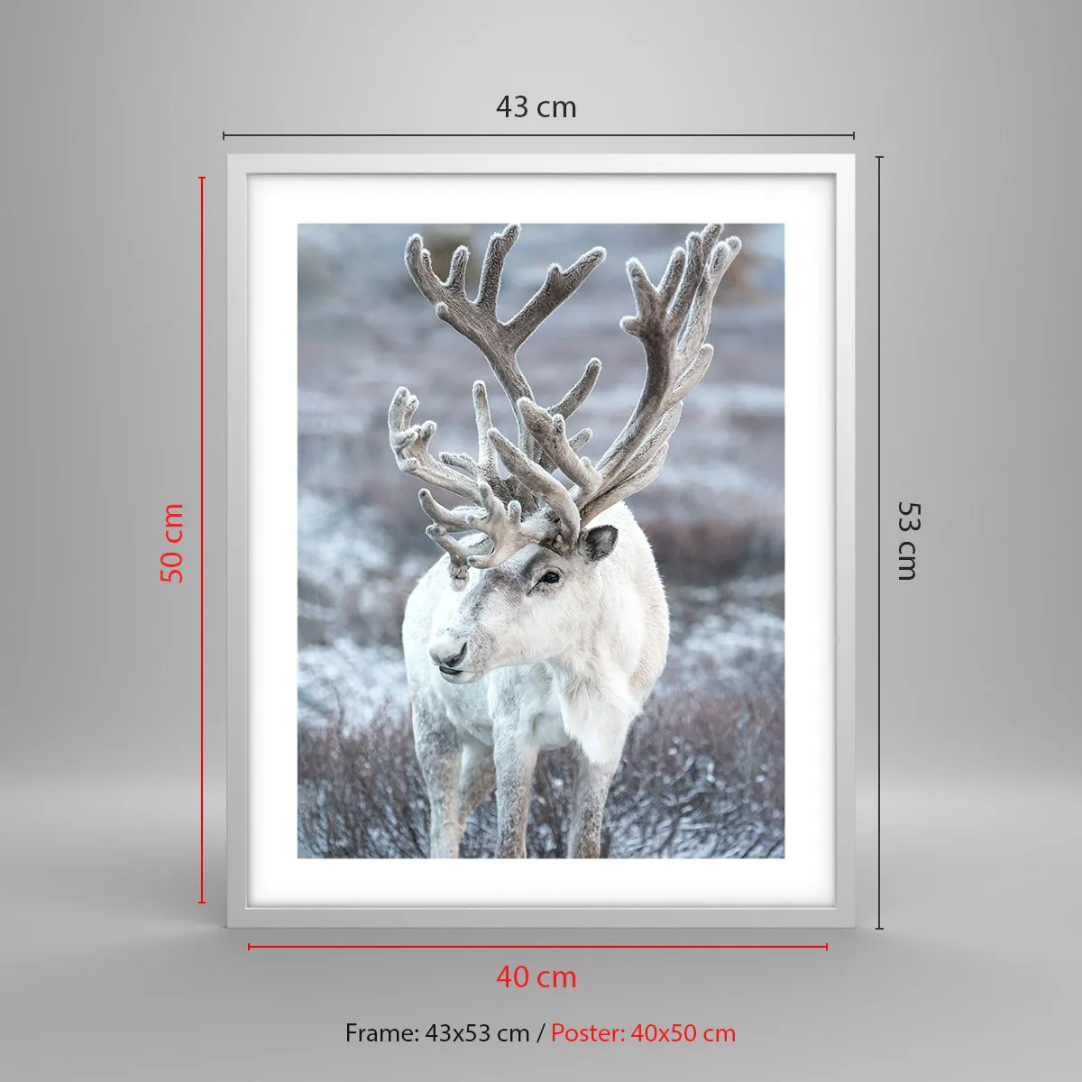 Poster in een witte lijst - Portret in de zon - 40x50 cm