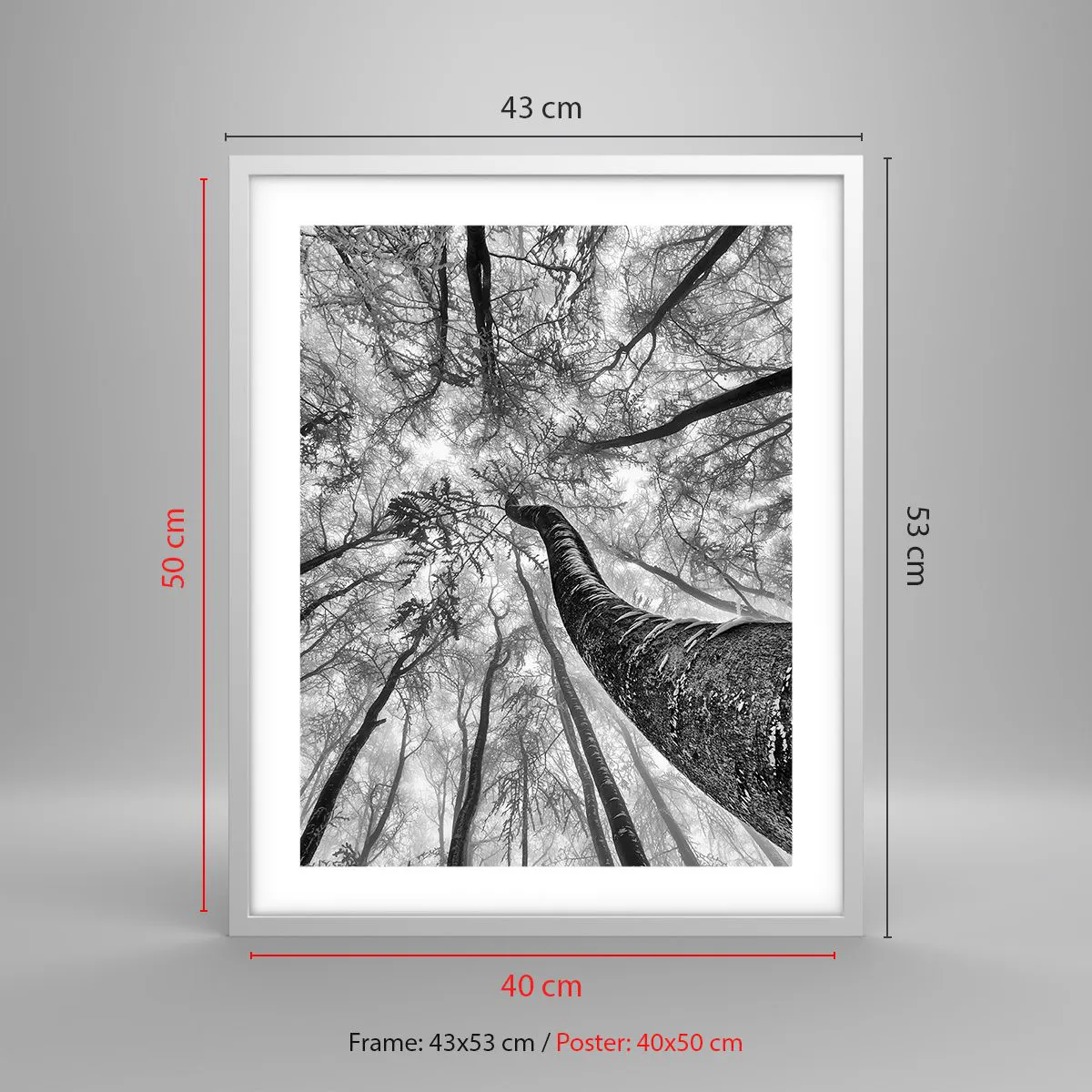 Poszter fekete keretben - Verseny a fény felé - 40x50 cm