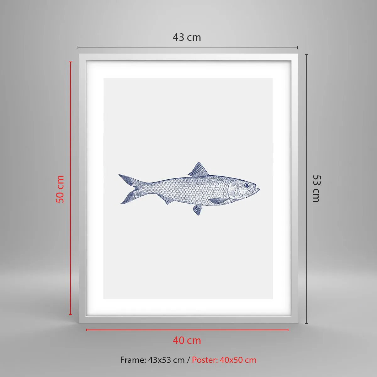 Poster in einem weißen Rahmen - Grüße aus den nördlichen Meeren - 40x50 cm