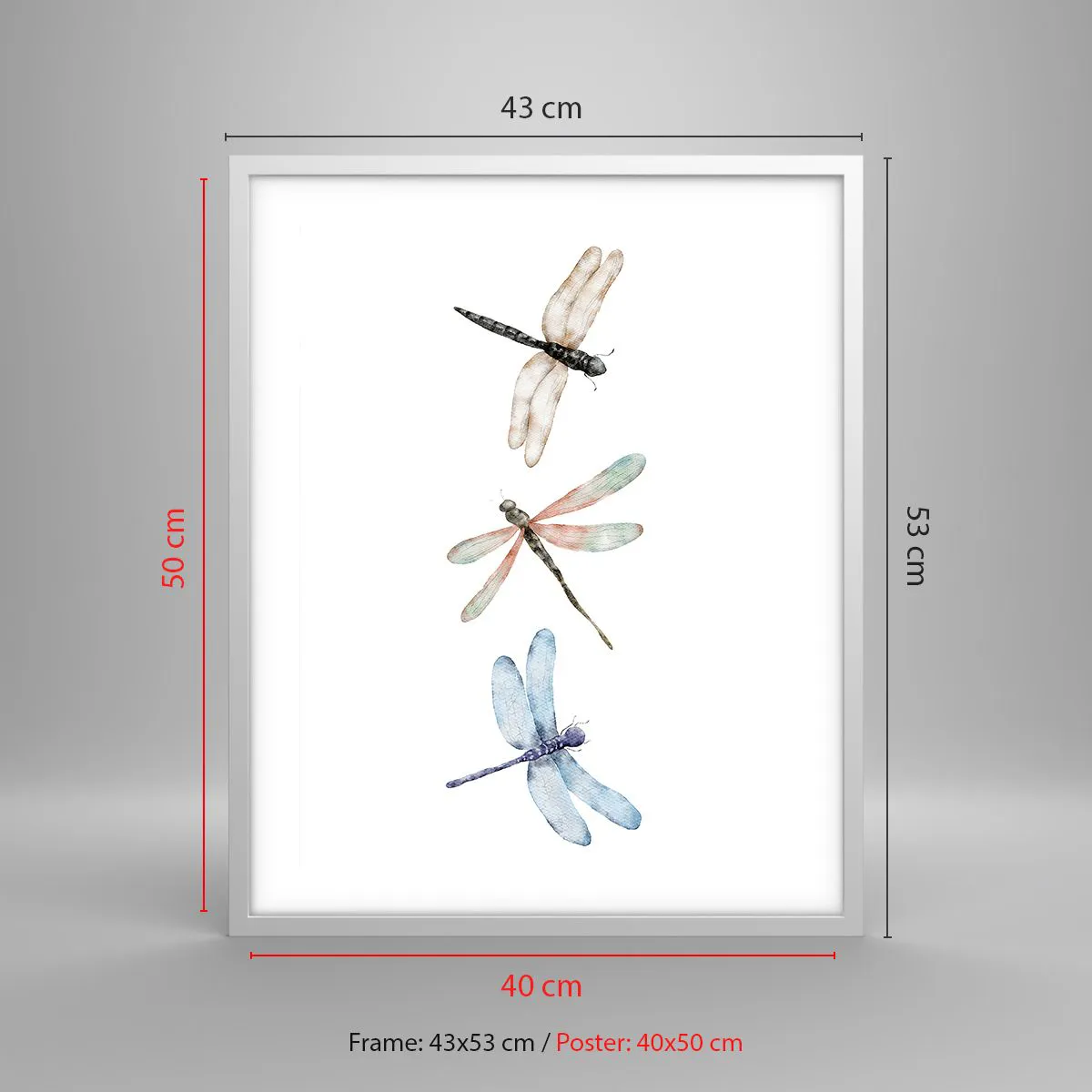 Poster in einem weißen Rahmen - Schwerelose Libellen - 40x50 cm