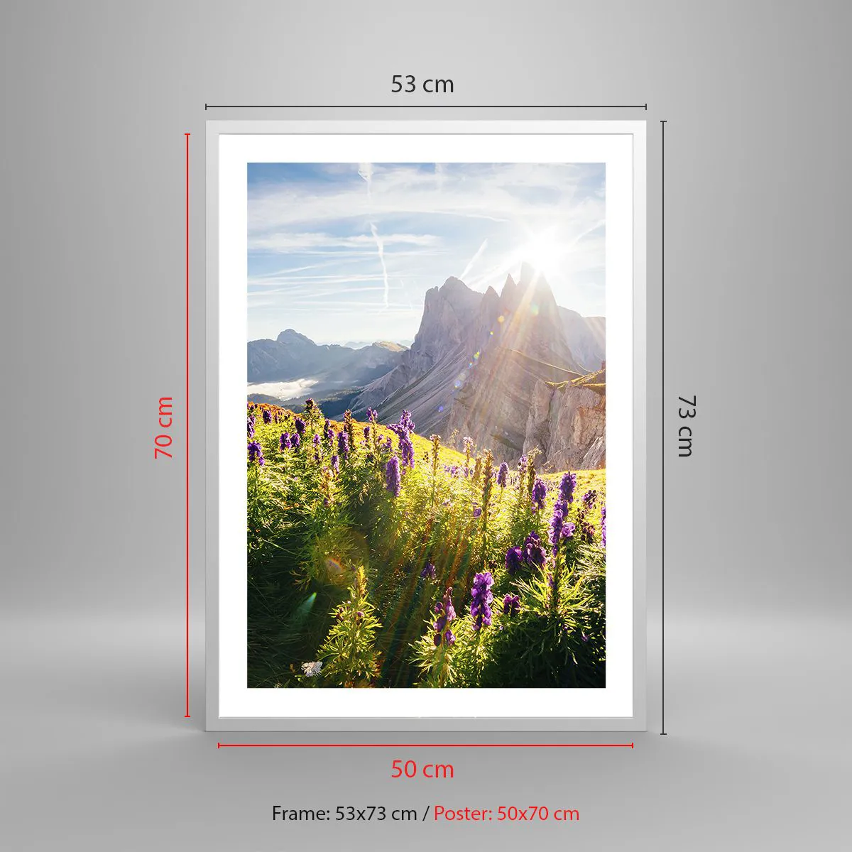 Affiche dans un cadre blanc - Poster - La vie secrète des herbes - 50x70 cm