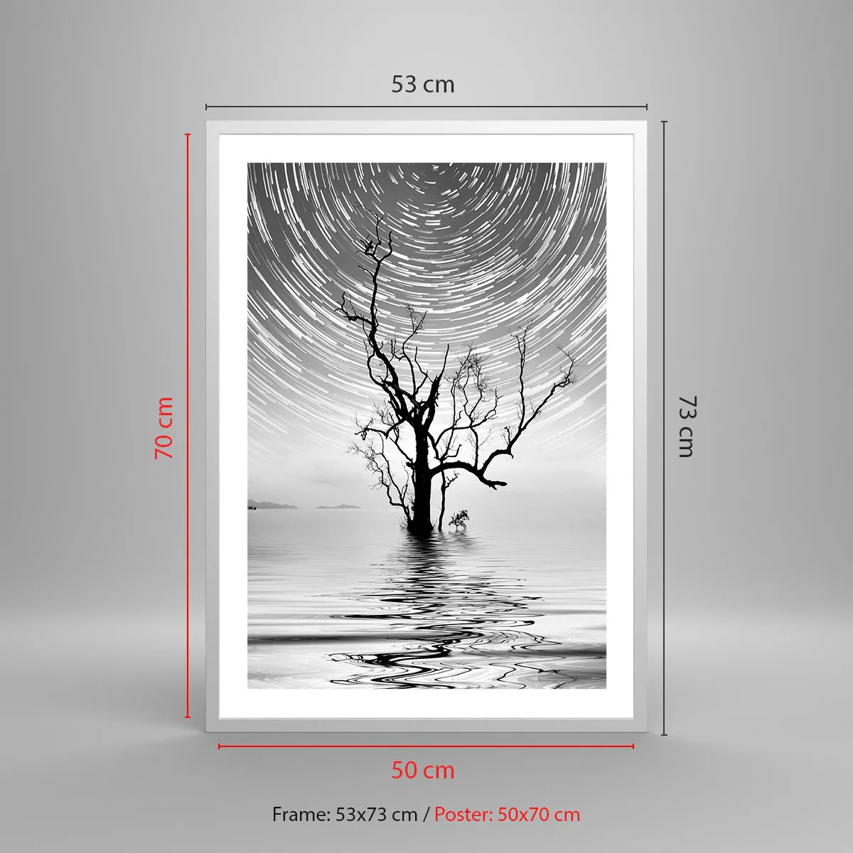 Affisch i vit ram - Naturens symfoni - 50x70 cm