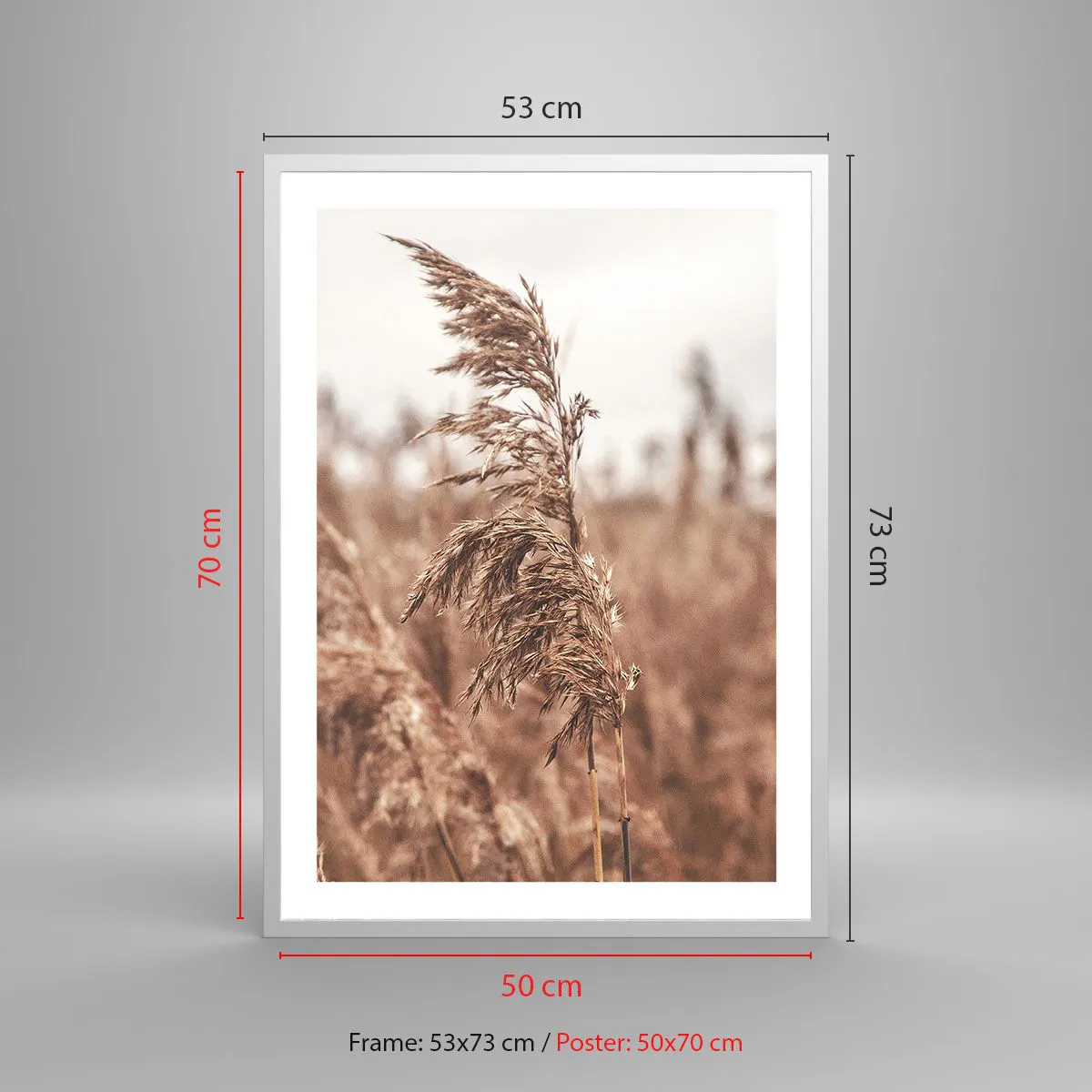 Affiche dans un cadre blanc - Poster - C'est déjà l'automne dans les champs - 50x70 cm