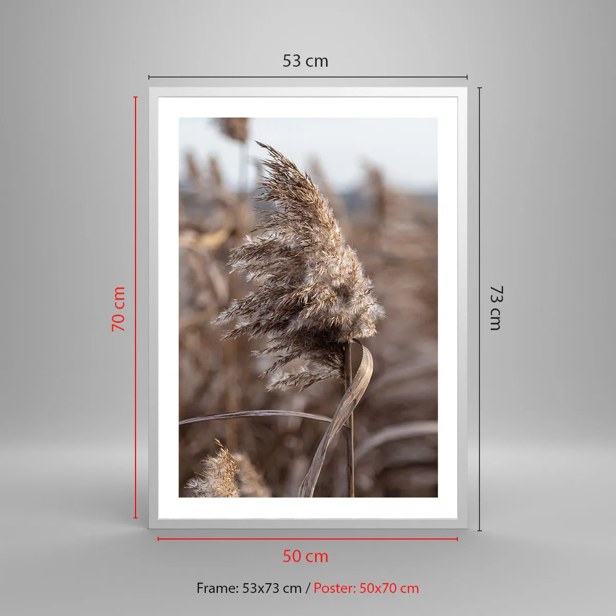 Poster in white frmae - Time to Fly with the Wind - 50x70 cm