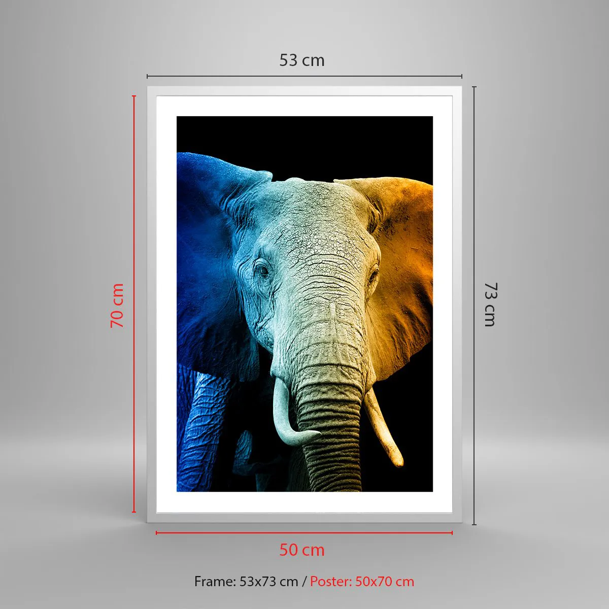 Affisch i vit ram - Excentriker, ej kuf - 50x70 cm