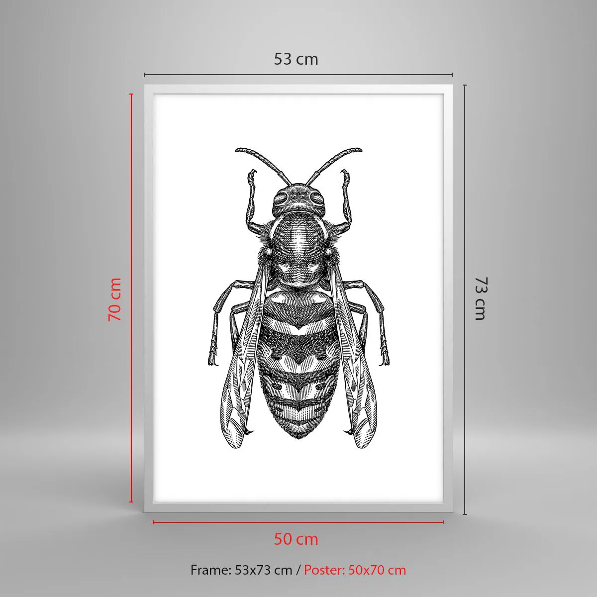 Poster in white frmae - From Insect Planet - 50x70 cm