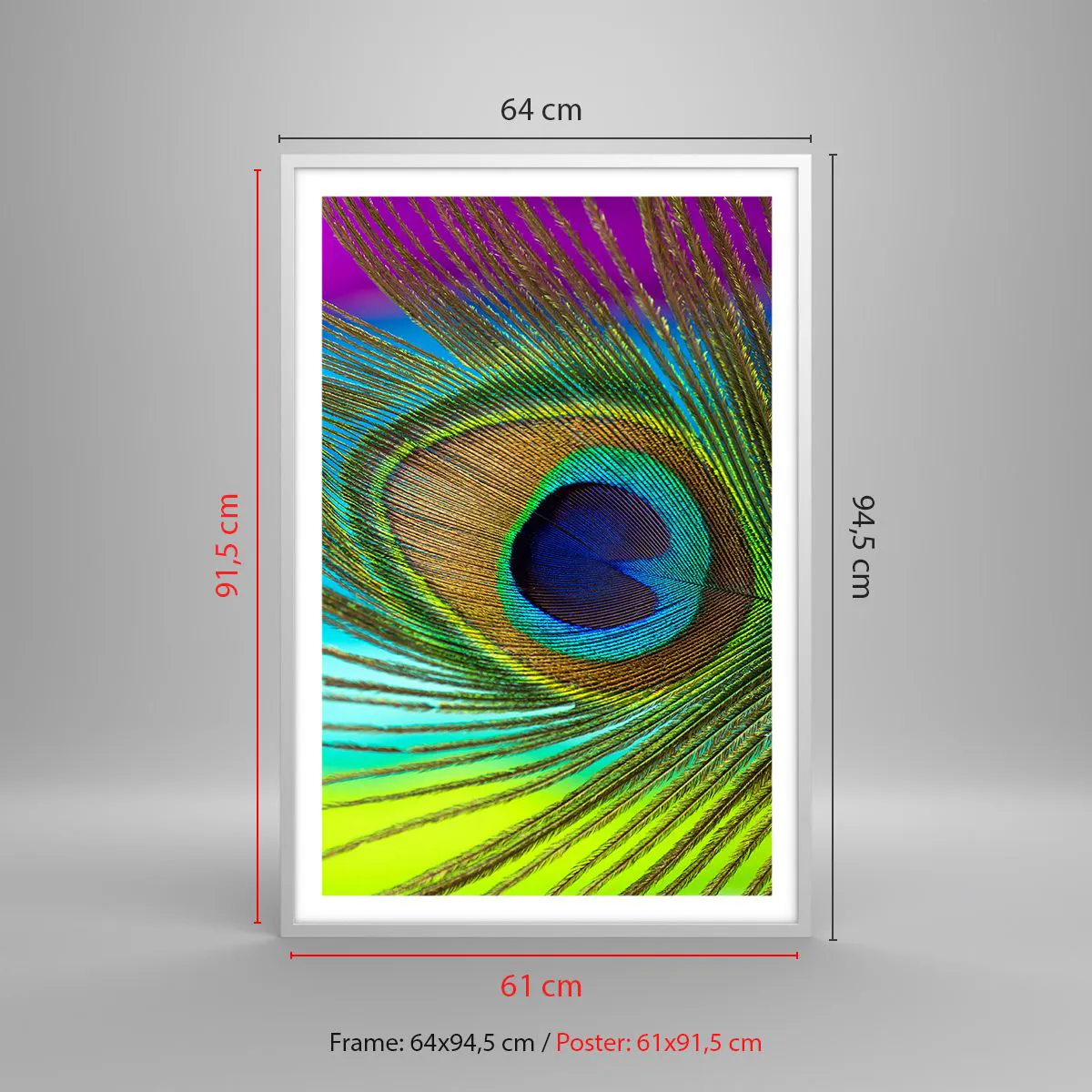 Poster in een witte lijst - Oog in oog - 61x91 cm