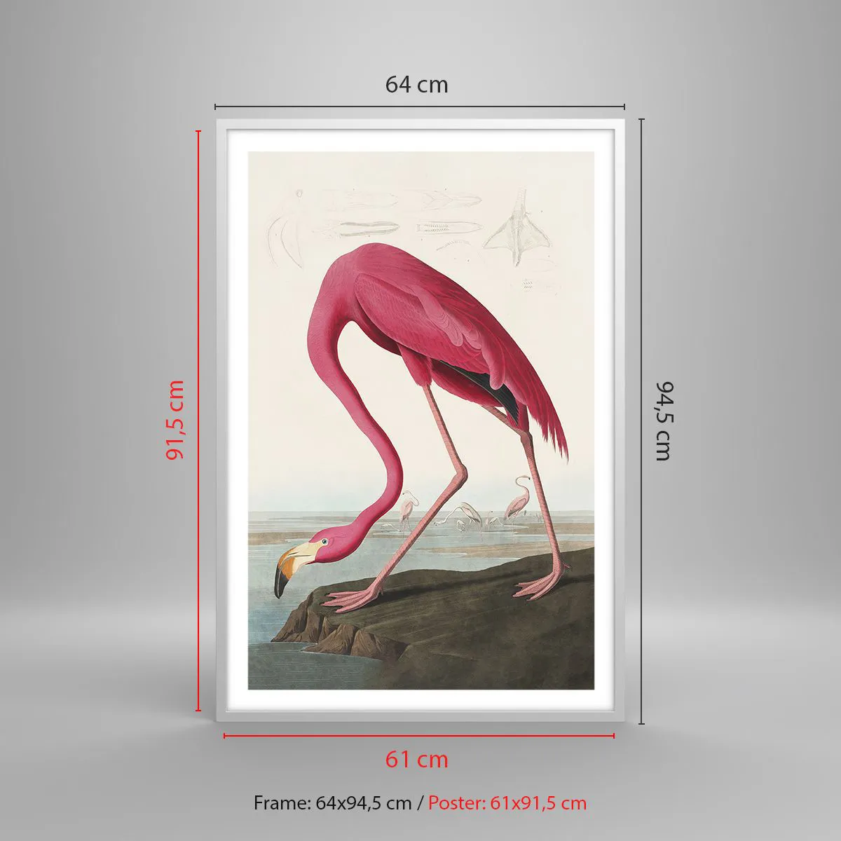 Poster in white frmae - Curious Creature - 61x91 cm